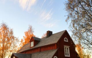 roof shingles
