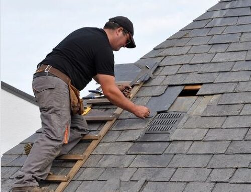 Why You Should Leave Roof Maintenance to the Professionals