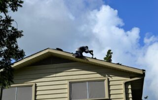 low slope roof
