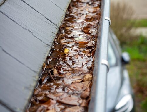Here’s Why You Should Never Let Water Sit in Your Gutters